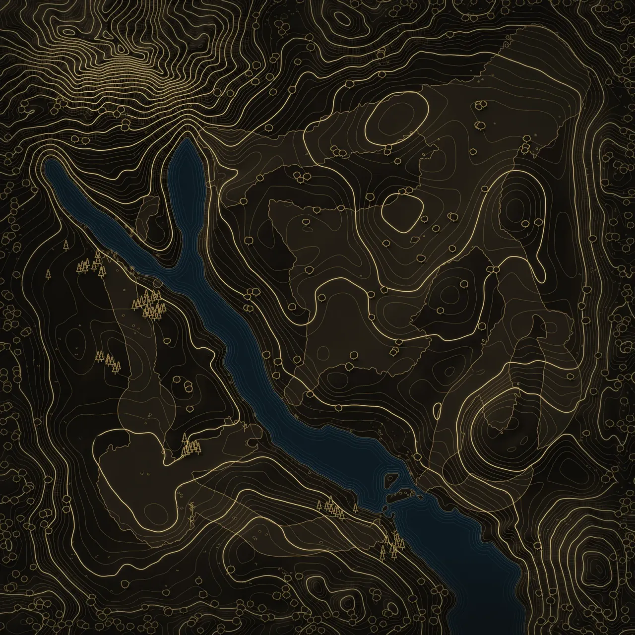 Night survey of Forest of Lórien: gold contour lines on dark ground, with water in blue.